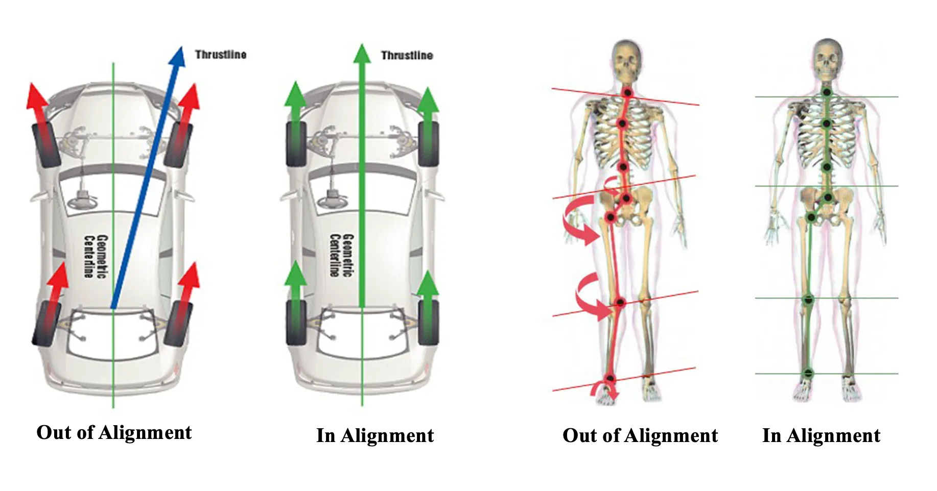 Alignment at Apex Fit in Orlando FL