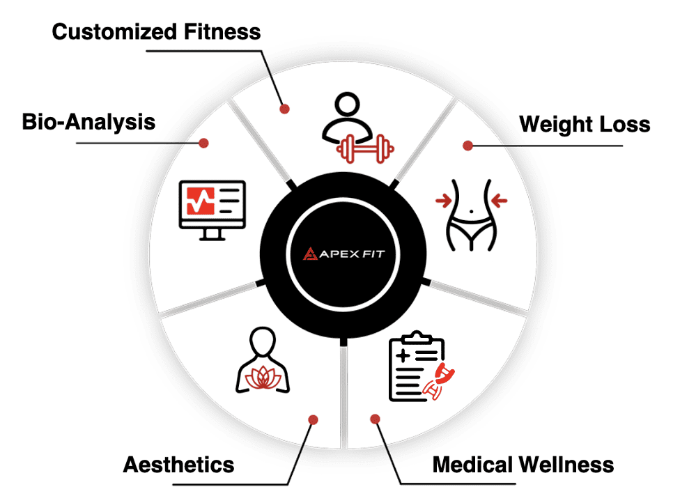 A diagram of a fitness program | Apex Fit in Orlando, FL